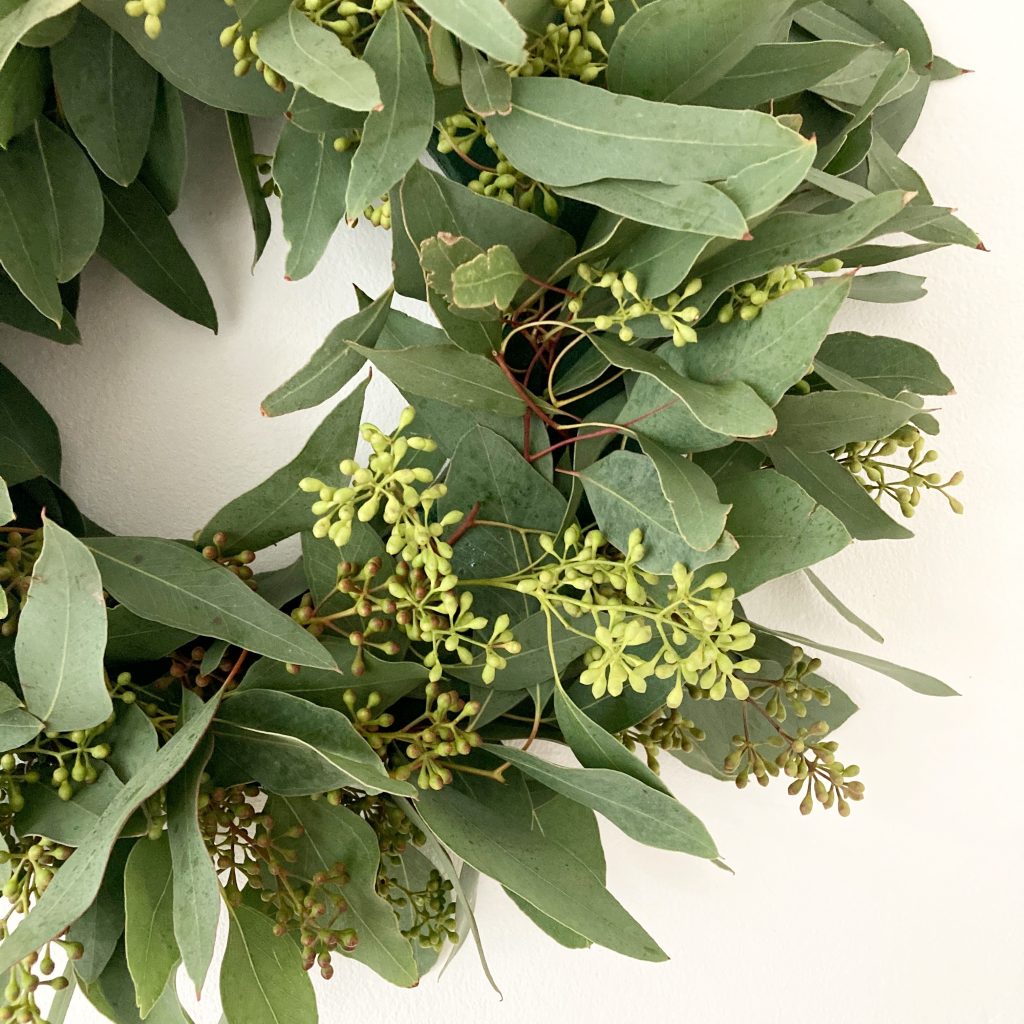 christmas door wreath derby